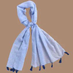 Women Striped Chiffon Stole-18