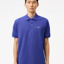 Regular Fit Polo T-Shirt-image-33