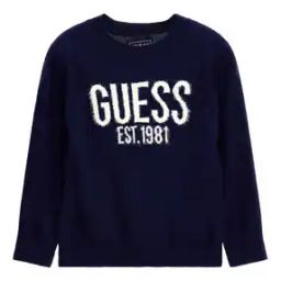 Brand Embroidered Crew-Neck Pullover-image-1
