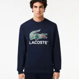 Round-Neck Sweatshirt with Full Sleeves-image-12