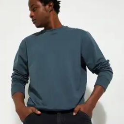 Men Regular Fit Sweatshirt with Round Neck-picture-44