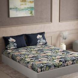Cotton Bedsheet With 2 Pillow Cover-image-86