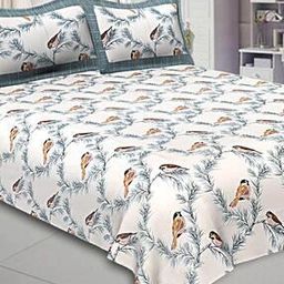 Graphic Print Bedsheet with 2 Pillow Cover-18