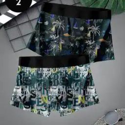 Men Pack of 2 Printed Trunks-5