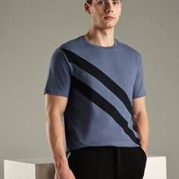 Stripes Regular Fit Crew Neck T-shirt-picture-42