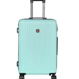 Striped  Briefcases  Travel Bag-image-5