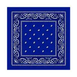 Men Paisley Print Bandana-image-3