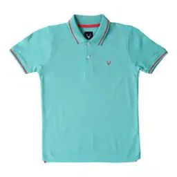 Boys Regular Fit Polo T-Shirt with Logo Embroidery-picture-46