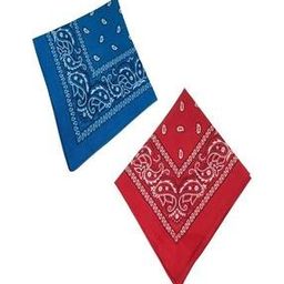 Paisley Unisex Cotton Paisley Bandanas-picture-29