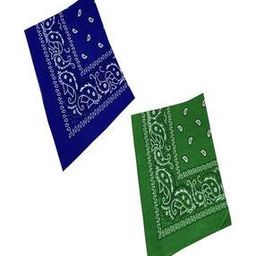 Pack of 2 Paisley bandana-image-1