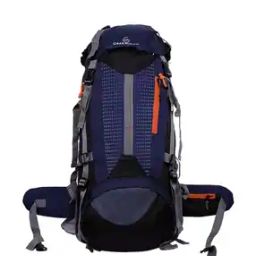 Four Compartmental Travel Backpack Bag-image-41