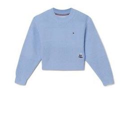 tommy hilfiger Round Neck Slip On Pullover-picture-28