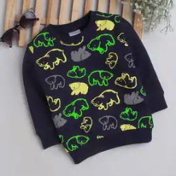 Boys Printed Regular Fit Sweatshirt-48