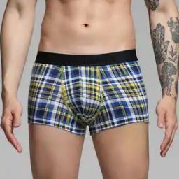 Men Regular Fit Checks Trunks-image-13