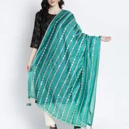 Embellished Dupatta-picture-42