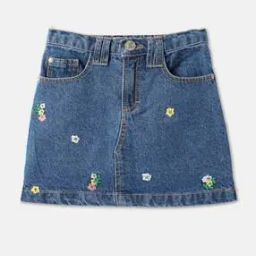 r&b Embroidered A-Line Skirt-picture-25