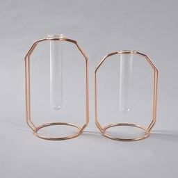 Set of 2 Metal & Glass Test Tube Planter Vases-image-9