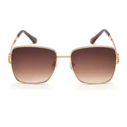 IRS1140C2SG Full-Rim Wayfarer Sunglasses-picture-24