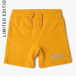 Boys Regular Fit Shorts-picture-47