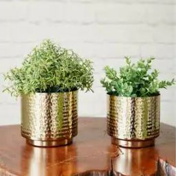 Set of 2 Table Top Plant Containers-image-2