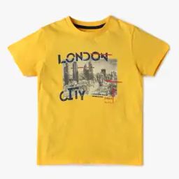 Boys Isaac SS IP Printed Round-Neck Regular Fit Shirt-image-87