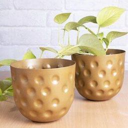 Set of 2 Belly Bucket Planters-20