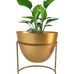 Metal Table Top Plants-33