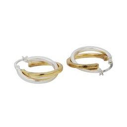 Double Tone-Plated Hoop Earrings - FJE3995-image-3