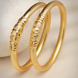 Women Set of 2 Gold-Plated Handcrafted Traditional Bangles-image-12