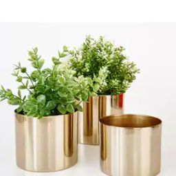 Set of 3 Metal Cylinder Planters-20
