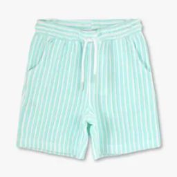 Boys Striped Regular Fit Flat-Front Shorts-image-86