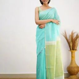 Traditional Cotton Blend Saree-picture-18