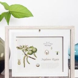 Rotatable Dual Photo Frame-42
