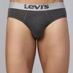 Men Regular Fit Briefs with Elasticated Waist-image-87