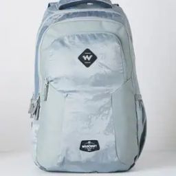 Men Laptop Back Pack-56
