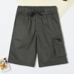 Boys Printed Regular Fit Shorts-picture-31