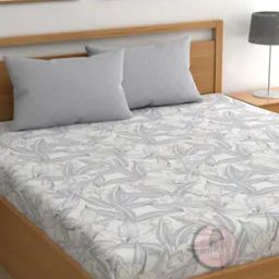 210 TC Leaf Print King Bedsheet with Pillow Covers-6