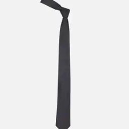 Men Micro Print Neck Tie-image-47