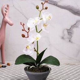1 Pieces Orchid Artificial Plant With Pot-image-88