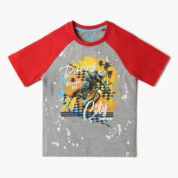 Boys Printed Slim Fit Round-Neck T-Shirt-picture-37