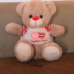 Teddy  Bear Soft Toys-image-59