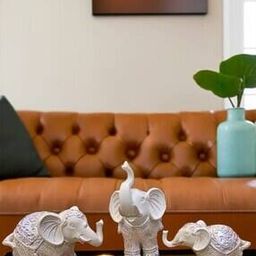 Set of Elephants Decorative-image-1