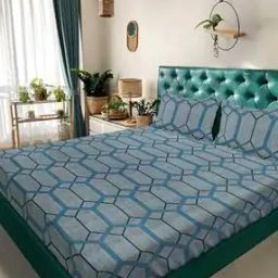 350 TC Printed Super King-Size Bedsheet with Pillow Cover-51