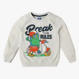 Boys Graphic Print Relaxed Fit Sweatshirt-image-31