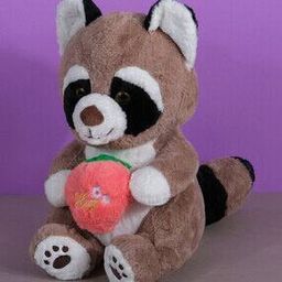 Raccoon Soft Toy-50