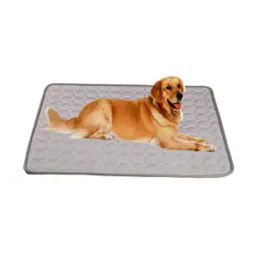 Rectangular Pet Mat-29