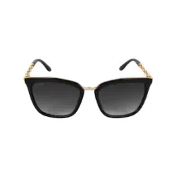 aislin Full-Rim Butterfly Sunglasses-picture-1