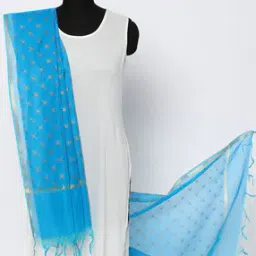 Printed Dupatta with Contrast Border-image-21