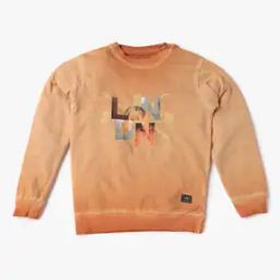 Typographic Print Crew-Neck Sweatshirt-picture-16
