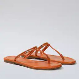 T-Strap Flat Sandals-image-93